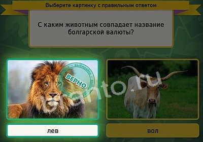 игра Выбирайка ответ на Уровень 3880