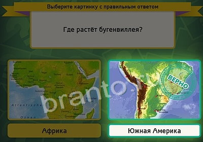 Выбирайка ответы в картинках Уровень 3896