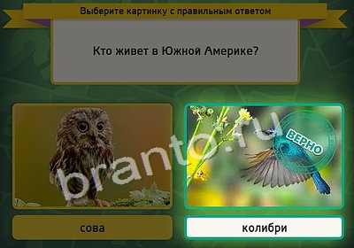 Выбирайка подсказки в контакте Уровень 3909