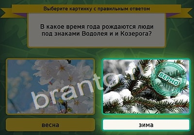 Выбирайка игра подсказки Уровень 3924