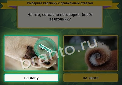 игра Выбирайка помощь Уровень 3929