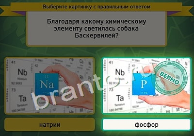 ответы к игре Выбирайка Уровень 3935