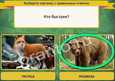 игра Выбирайка ответ на Уровень 3940