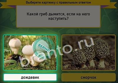 игра Выбирайка ответ на Уровень 3950