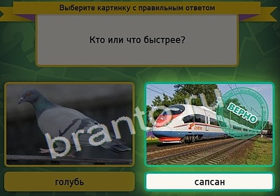 Выбирайка игра помощь Уровень 3955