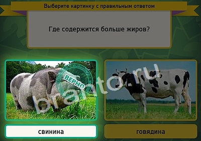 Одноклассники Выбирайка ответы Уровень 3968