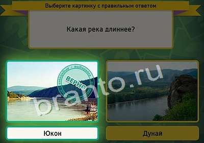 Выбирайка игра подсказки Уровень 3974