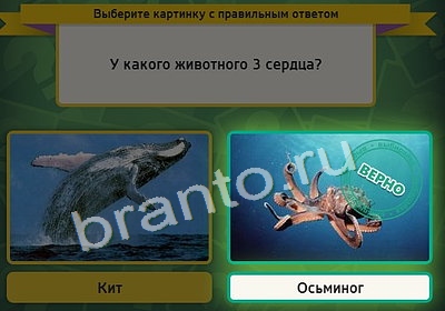 Выбирайка ответы в картинках Уровень 3976
