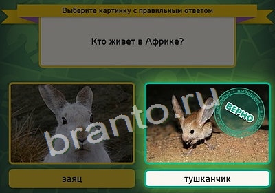 Игра Выбирайка подсказки Уровень 3988