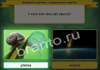 Подсказки на игру Выбирайка Уровень 3992