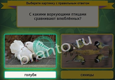 ответы к игре Выбирайка Уровень 3995