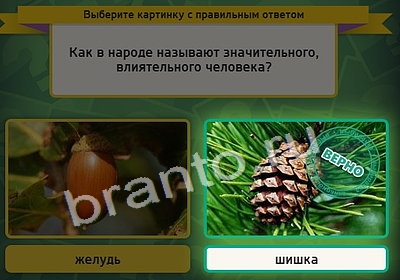 решебник на игру Выбирайка Уровень 4001