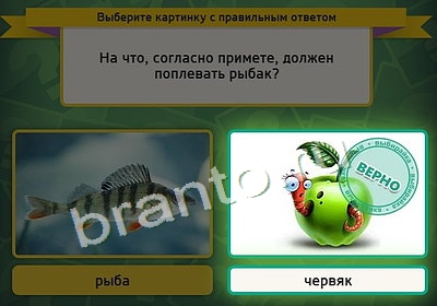 Выбирайка игра помощь Уровень 4005