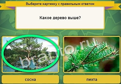 Игра Выбирайка подсказки Уровень 4008