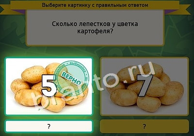 игра Выбирайка помощь Уровень 4009
