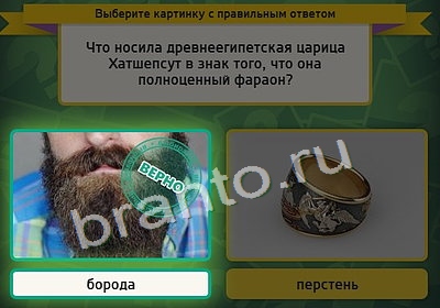 решебник на игру Выбирайка Уровень 4011