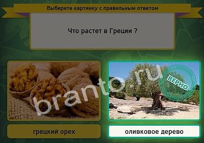 игра Выбирайка ответ на Уровень 4020