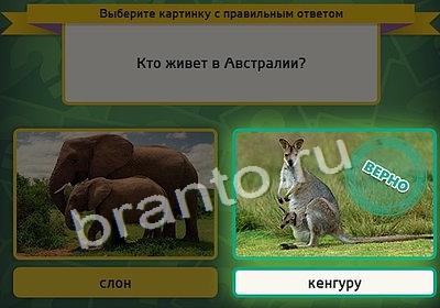 Одноклассники Выбирайка ответы Уровень 4028