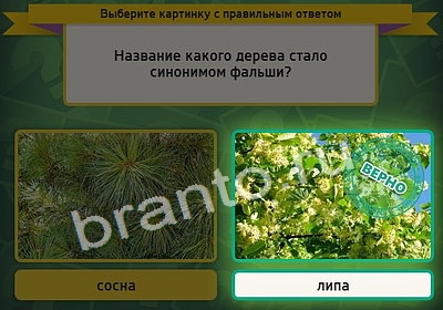 игра Выбирайка ответ на Уровень 4030