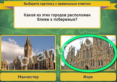 игра Выбирайка ответ на Уровень 4040