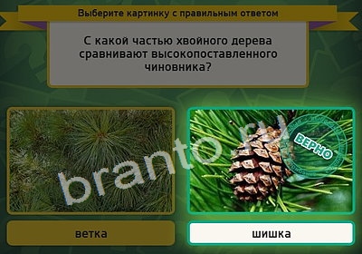 Выбирайка игра ответы Уровень 4043