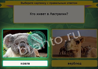 ответы на игру Выбирайка в одноклассниках Уровень 4051