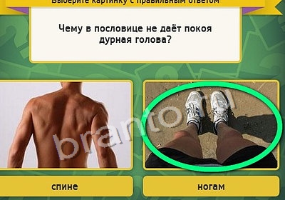 Подсказки на игру Выбирайка Уровень 4052