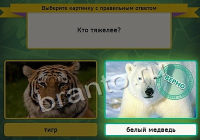 ответы к игре Выбирайка Уровень 4055