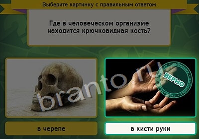 ответы на игру в одноклассниках Выбирайка Уровень 4056