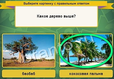 Игра Выбирайка подсказки Уровень 4078