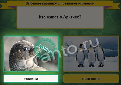 Решения на игру Выбирайка Уровень 4083