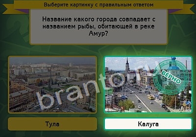 Помощь на игру ВК Выбирайка Уровень 4084