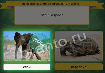 ответы на игру в одноклассниках Выбирайка Уровень 4086