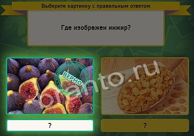 Выбирайка игра ответы Уровень 4093