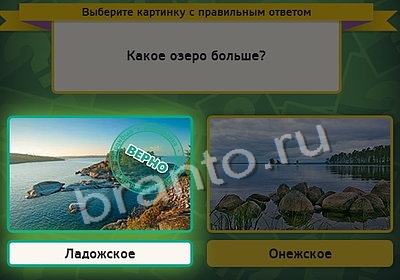 Выбирайка решения Уровень 4102