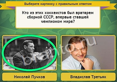 игра Выбирайка ответ на Уровень 4110