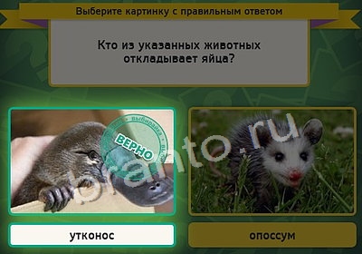 Выбирайка игра ответы в одноклассниках Уровень 4117