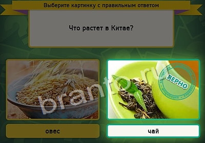 решебник на игру Выбирайка Уровень 4131