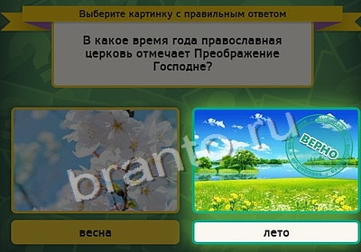 игра Выбирайка ответ на Уровень 4140