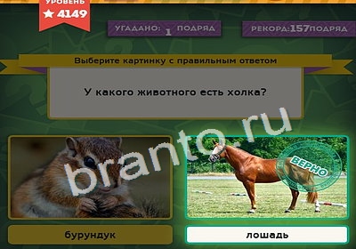 Выбирайка подсказки в контакте Уровень 4149