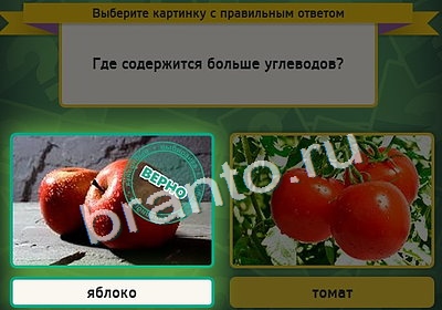 игра Выбирайка ответ на Уровень 4150