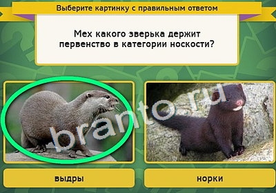 решебник на игру Выбирайка Уровень 4151