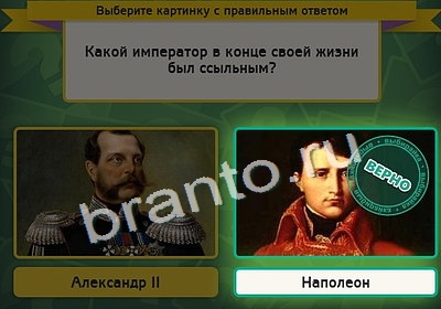 игра Выбирайка ответ на Уровень 4160