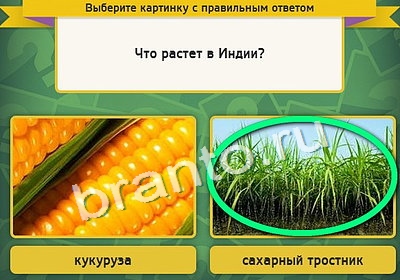 Игра Выбирайка подсказки Уровень 4168