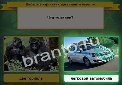 игра Выбирайка помощь Уровень 4169