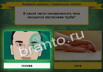 Помощь на игру ВК Выбирайка Уровень 4174