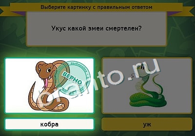 Одноклассники Выбирайка ответы Уровень 4178