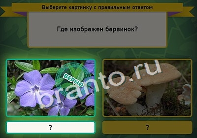 игра Выбирайка ответ на Уровень 4190