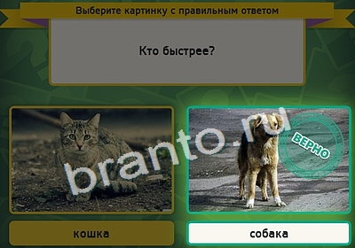 решебник на игру Выбирайка Уровень 4191