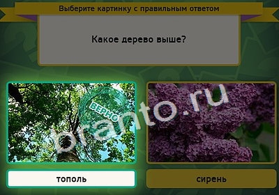 Выбирайка ответы в картинках Уровень 4196